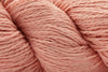 Starfish (Online Only)