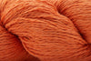 Persimmon (In-Store)