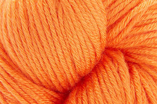 Buy dreamsicle-online-only Sailfin Kit (Universal Yarn)