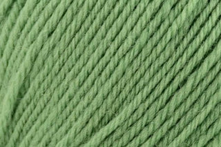 Buy greenery-in-store Deluxe DK Superwash (Universal Yarn)