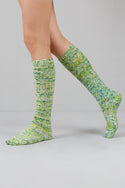 Nokta Fingering (Gusto Wool)