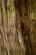 Durum Cowl Kit (Gusto Wool)