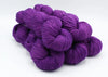 Summer Lilac (Online Only)