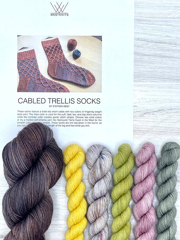 Painting Bricks Sock Kit (Stephen West)