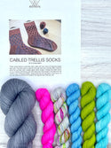 Painting Bricks Sock Kit (Stephen West)