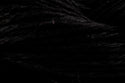 Flax (Universal Yarn)