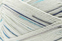 Zesty Sock (Universal Yarn)