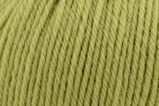 Buy lime-tree-online-only Deluxe Worsted Superwash (Universal Yarn)