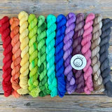 Buy pastel Inclusive Rainbow Pigtail Set (Oink Pigments)