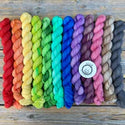 Inclusive Rainbow Pigtail Set (Oink Pigments)