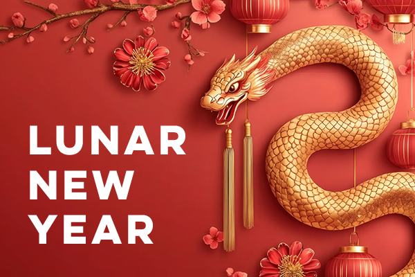 Lunar New Year Celebration!