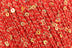 Red with Gold Sequins - 1092 (Online Only)