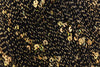 Black with Gold Sequins (Online Only)