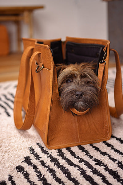 Clara Pet Carrier (muud)