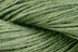 Tarragon (Online Only)