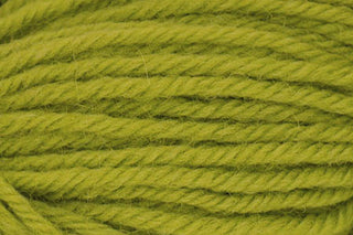 Buy lime-tree-retiring-online-only Deluxe Worsted (Universal Yarn)