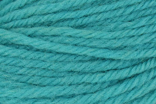 Buy turquoise-in-store-online-only Deluxe Worsted (Universal Yarn)