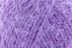 Taro - 106 (Online Only)