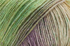 Aster - 102 (Online Only)