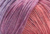 Iris - 104 (Online Only)
