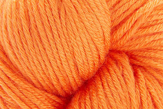 Buy dreamsicle-online-only Magnolia (Universal Yarn)