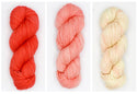 Gradient Bias Shawl Kit (Baah Yarn)