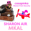 Sharon Air Summer MKAL ‘22 Shawl Kit (Casapinka)