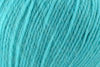Turquoise (Online Only)