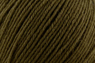 Buy forest-online-only Deluxe Worsted Superwash (Universal Yarn)