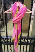 Botanique Shawl Kit (Casapinka)