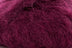 OMBELLE 1035 (Online Only)