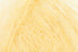 OMBELLE 2003 (Online Only)