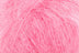 OMBELLE 2013 (Online Only)