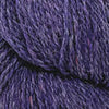 Wildberry (Online Only)