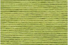 Buy pistachio-047-online-only Ricorumi (Universal Yarn)