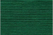 Buy fir-green-050-online-only Ricorumi (Universal Yarn)