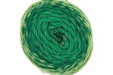 Buy green-01-warehouse Ricorumi Spin Spin DK (Universal Yarn)
