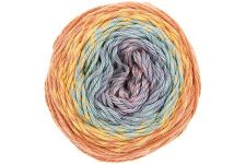 Buy earthy-rainbow-019-warehouse Ricorumi Spin Spin DK (Universal Yarn)