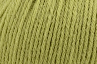 Buy lime-tree-online-only Deluxe Bulky Superwash (Universal Yarn)